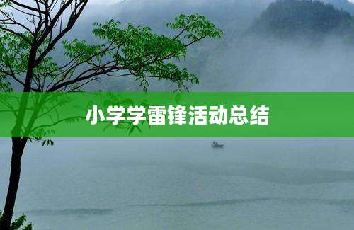 小学学雷锋活动总结
