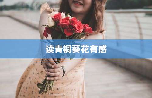读青铜葵花有感