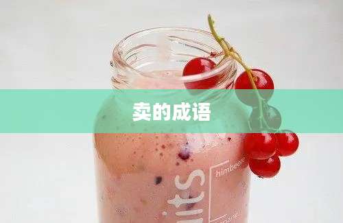 卖的成语