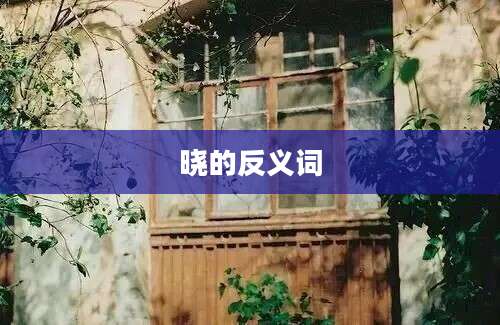 晓的反义词