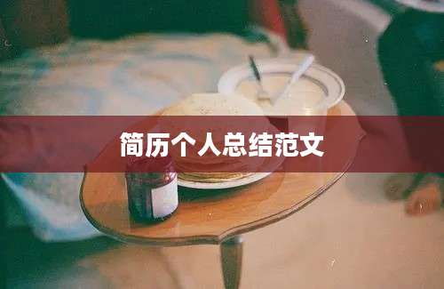 简历个人总结范文