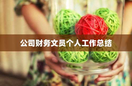 公司财务文员个人工作总结