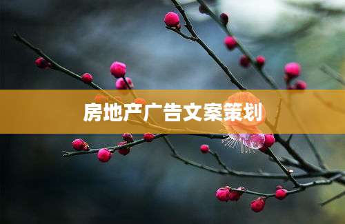 房地产广告文案策划