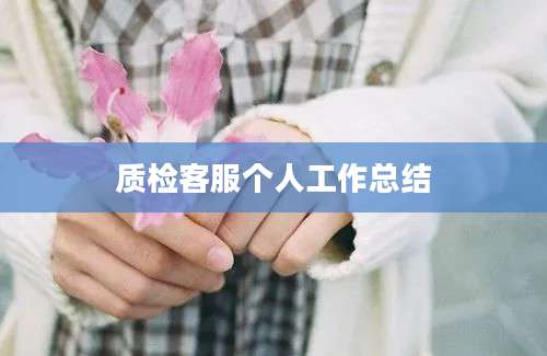质检客服个人工作总结