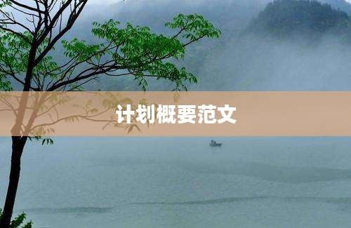 计划概要范文
