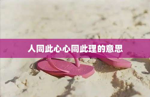 人同此心心同此理的意思