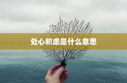 处心积虑是什么意思