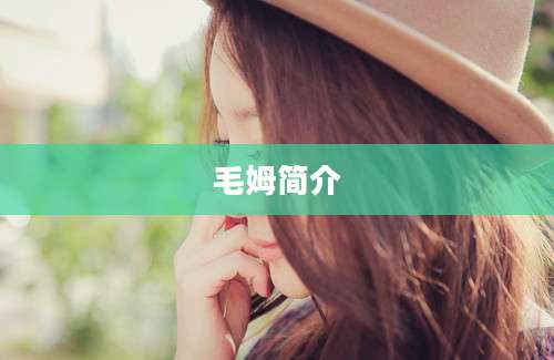 毛姆简介