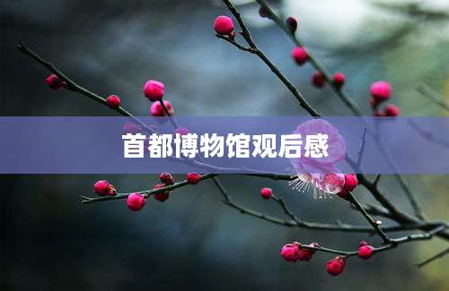 首都博物馆观后感