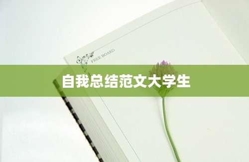 自我总结范文大学生