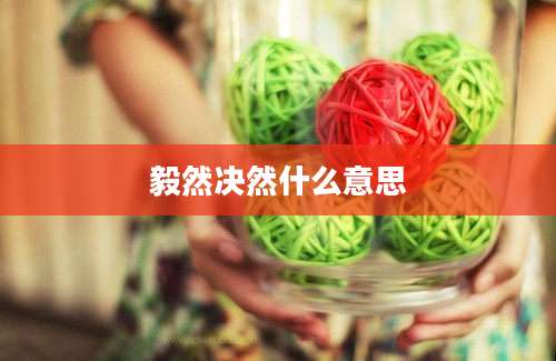 毅然决然什么意思