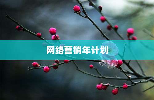 网络营销年计划
