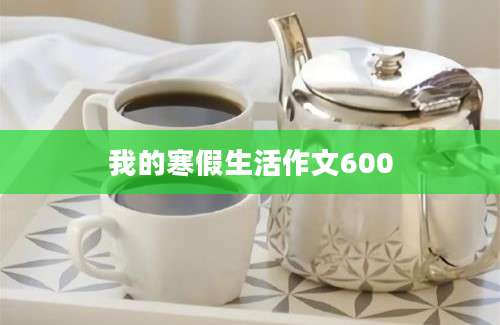 我的寒假生活作文600