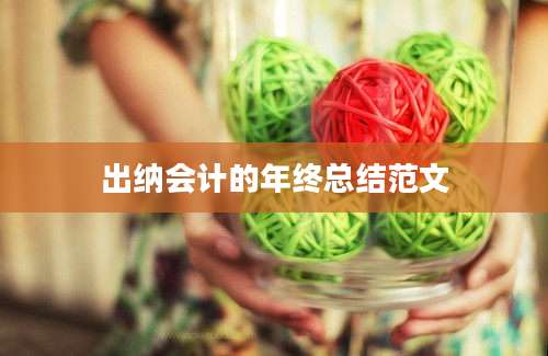 出纳会计的年终总结范文