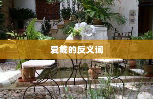 爱戴的反义词