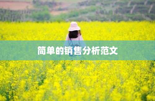 简单的销售分析范文