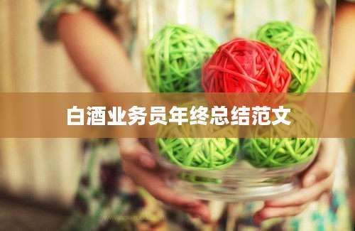 白酒业务员年终总结范文