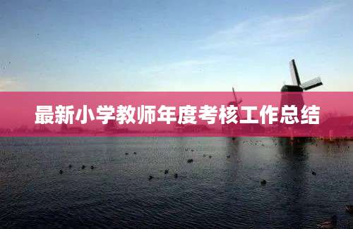 最新小学教师年度考核工作总结