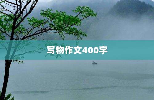 写物作文400字