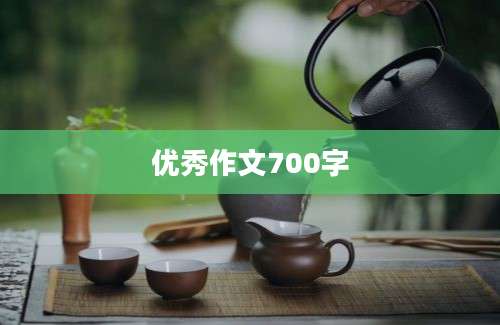 优秀作文700字