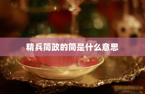 精兵简政的简是什么意思