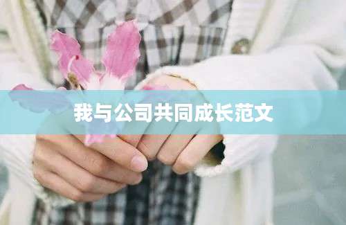 我与公司共同成长范文