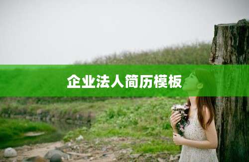 企业法人简历模板