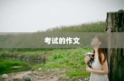 考试的作文