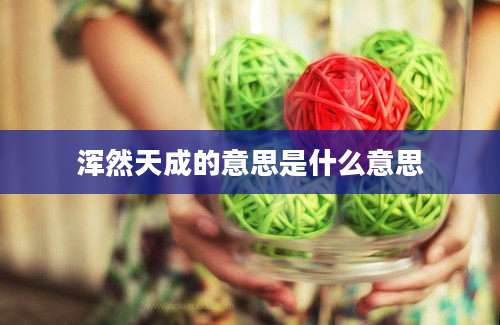 浑然天成的意思是什么意思