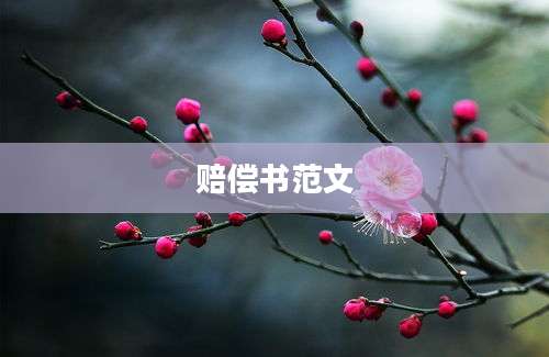 赔偿书范文