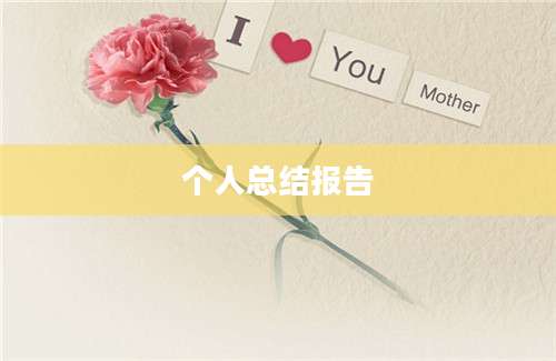 个人总结报告