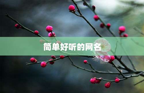简单好听的网名