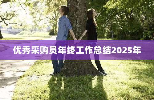 优秀采购员年终工作总结2025年