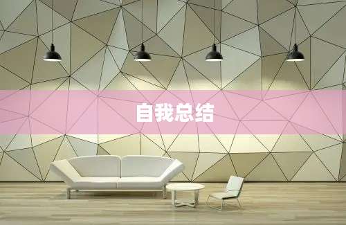 自我总结