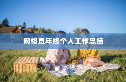 网格员年终个人工作总结