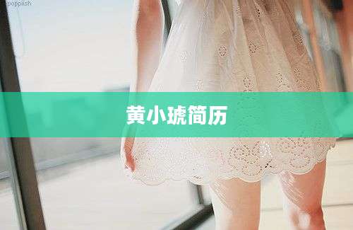黄小琥简历