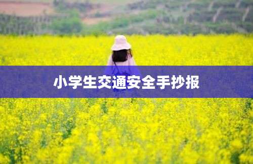 小学生交通安全手抄报