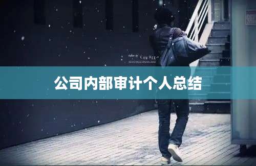 公司内部审计个人总结