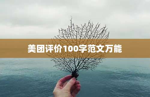 美团评价100字范文万能