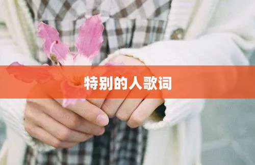 特别的人歌词