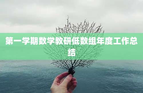 第一学期数学教研低数组年度工作总结