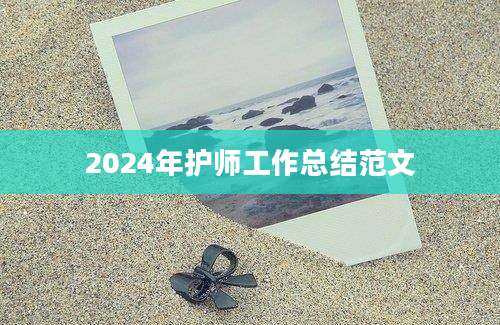 2024年护师工作总结范文