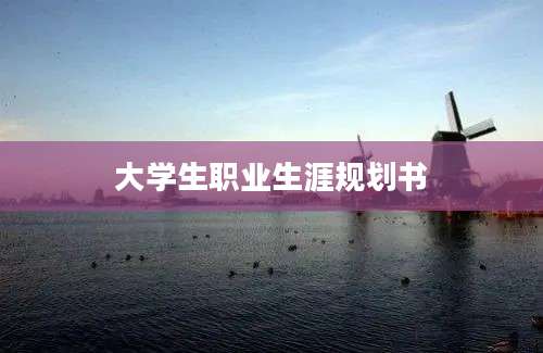 大学生职业生涯规划书