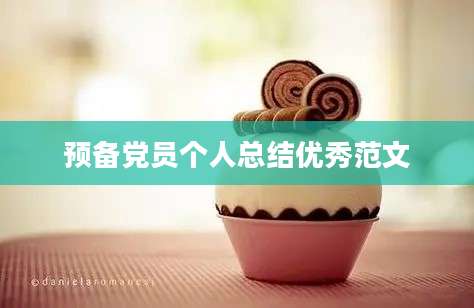 预备党员个人总结优秀范文