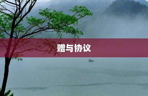 赠与协议