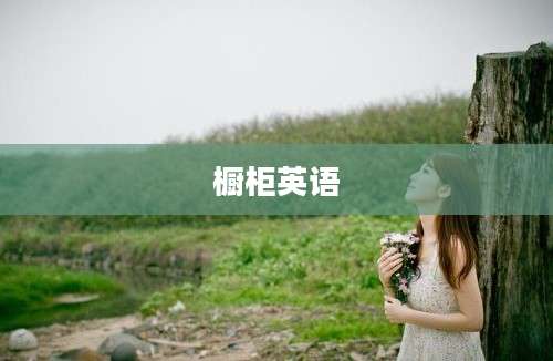 橱柜英语
