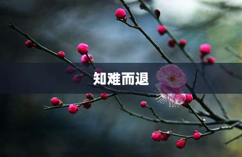 知难而退