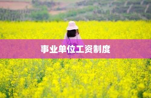 事业单位工资制度