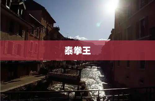 泰拳王