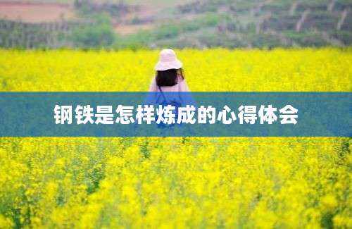 钢铁是怎样炼成的心得体会